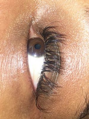 Eyelash extensions by Mariana Rotenberg in Oakland, CA 94605 on Frizo