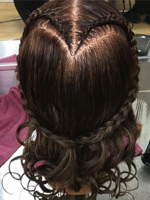 Braids by Daniele Pierson in Merrillville, IN 46410 on Frizo