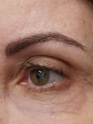 Permanent makeup eyebrows by mandi chhim at Modestology in Bakersfield, CA 93313 on Frizo