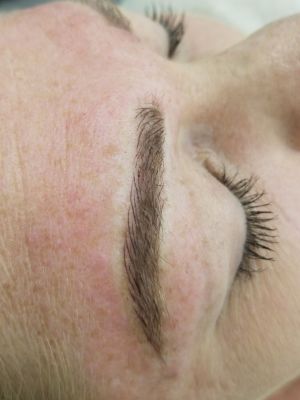 Permanent makeup eyebrows by mandi chhim at Modestology in Bakersfield, CA 93313 on Frizo