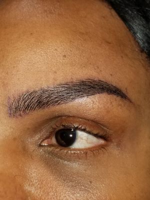 Permanent makeup eyebrows by mandi chhim at Modestology in Bakersfield, CA 93313 on Frizo