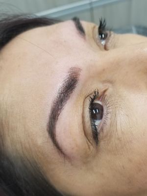 Permanent makeup eyebrows by mandi chhim at Modestology in Bakersfield, CA 93313 on Frizo