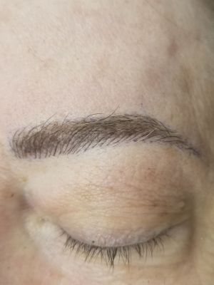 Permanent makeup eyebrows by mandi chhim at Modestology in Bakersfield, CA 93313 on Frizo