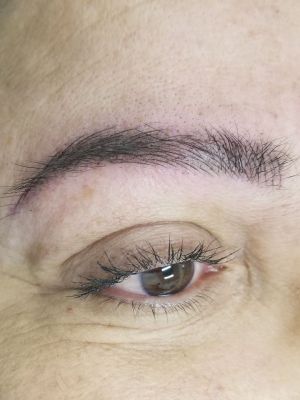 Permanent makeup eyebrows by mandi chhim at Modestology in Bakersfield, CA 93313 on Frizo