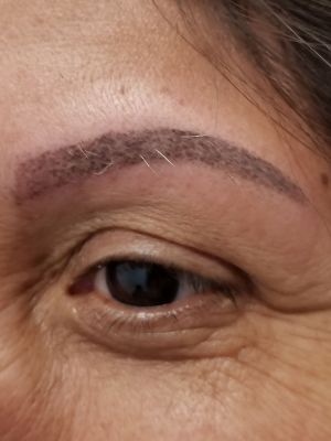 Permanent makeup eyebrows by mandi chhim at Modestology in Bakersfield, CA 93313 on Frizo