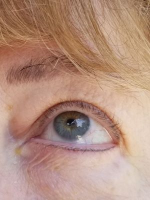 Permanent makeup eyes bottom by mandi chhim at Modestology in Bakersfield, CA 93313 on Frizo