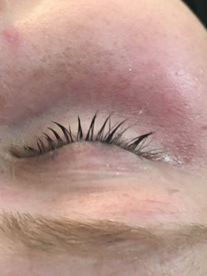 Eyelash tinting by Cassi Montecalvo at Salon Wren in Andersonville, TN 37705 on Frizo