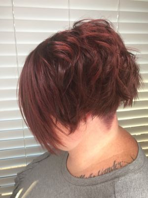 Women's haircut by Mandy Eich-Christy at His Excellency in Godfrey, IL 62035 on Frizo