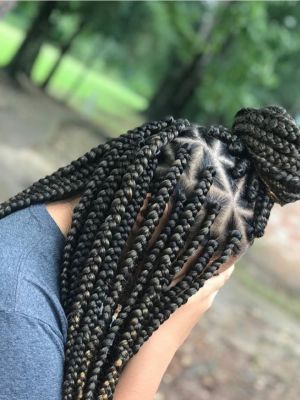 Braids by Destine Brown in Houston, TX 77016 on Frizo