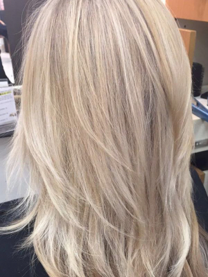 Highlights by Brissa Carlson in Sanford, NC 27332 on Frizo