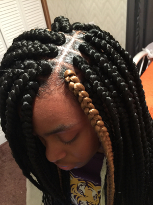 Braids by Skyla Smith at Braidsbyskaii in Maumelle, AR 72113 on Frizo