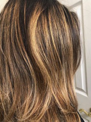 Highlights by Krysta Colella at KCo in Caldwell, NJ 07006 on Frizo