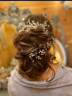 Updo by Brittany Swedren in Magnolia, OH 44643 on Frizo