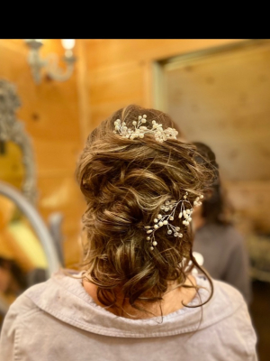 Updo by Brittany Swedren in Magnolia, OH 44643 on Frizo