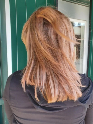 Balayage by Hannah Clark in Moline, IL 61265 on Frizo