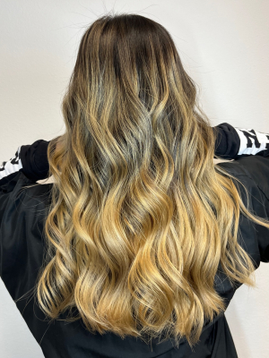 Balayage by Mary Roque at Mary Roque in Las Vegas, NV 89139 on Frizo