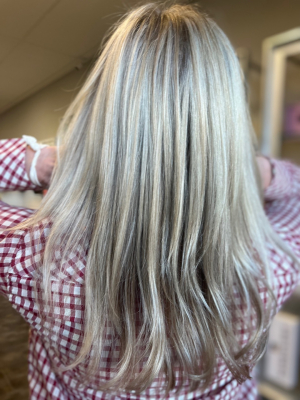 Partial highlights by Mary Roque at Mary Roque in Las Vegas, NV 89139 on Frizo