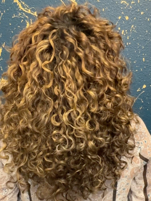 Highlights by Devon Ramirez at The Neighborhood Salon in Oakland, CA 94612 on Frizo