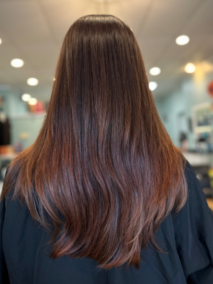 Gloss/toner by kaitlyn Billera at Revival Hair Studio in Dumont, NJ 07628 on Frizo