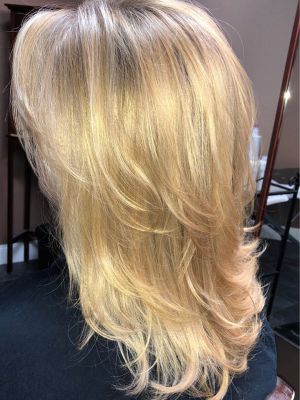 Highlights by Nelly Kelly at Damico hair slon in Brandon, FL 33511 on Frizo