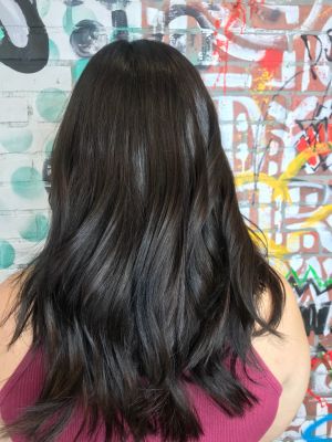 Double process by Fleur Spratley at Hair by Fleur in Miami, FL 33180 on Frizo