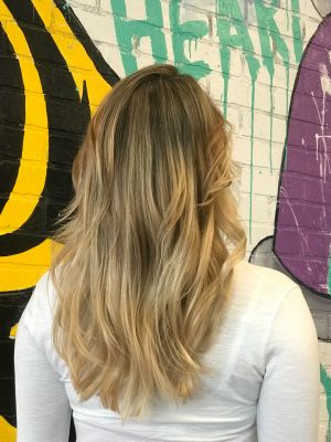 Highlights by Fleur Spratley at Hair by Fleur in Miami, FL 33180 on Frizo