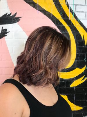 Partial highlights by Fleur Spratley at Hair by Fleur in Miami, FL 33180 on Frizo