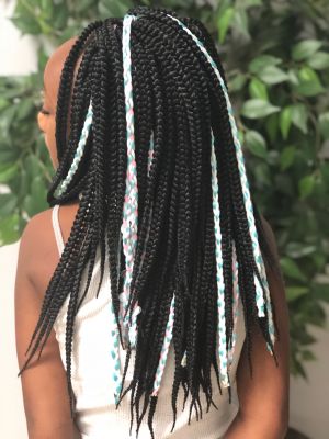 Braids by Shardae Vanhook at Tisun Beauty Salon in Charlotte, NC 28213 on Frizo