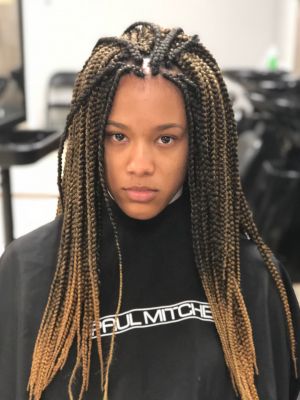 Braids by Shardae Vanhook at Tisun Beauty Salon in Charlotte, NC 28213 on Frizo