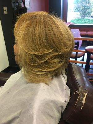 Partial highlights by Lena Coleman in Fullerton, CA 92831 on Frizo