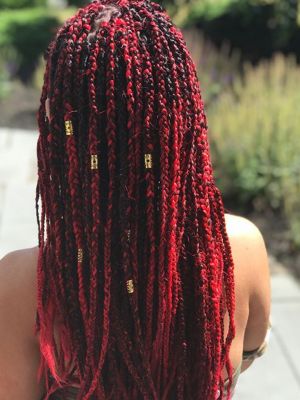 Braids by Ania-Paige Matthews in Waterbury, CT 06704 on Frizo