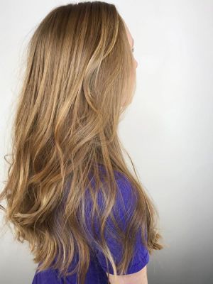 Blow dry by Brooke Farris at Mosaic Salon & Boutique in Las Vegas, NV 89123 on Frizo